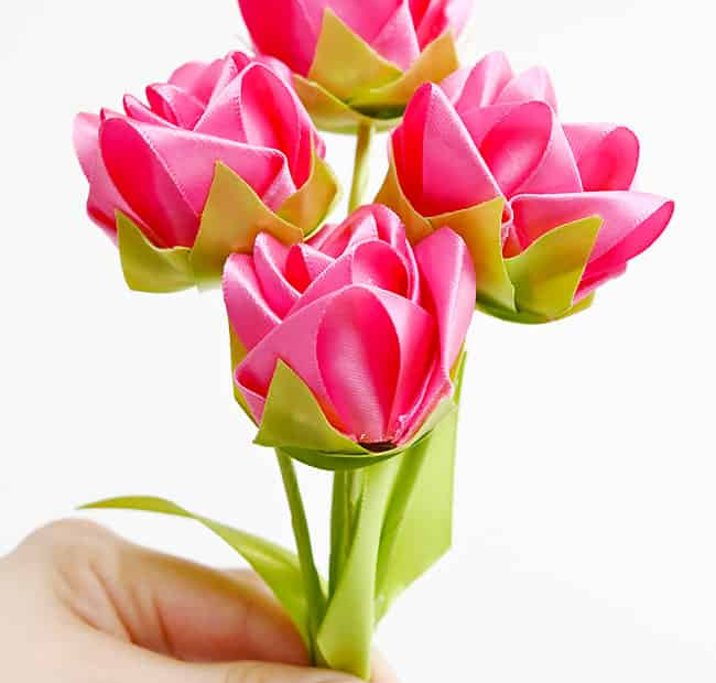 pink and green ribbon tulip