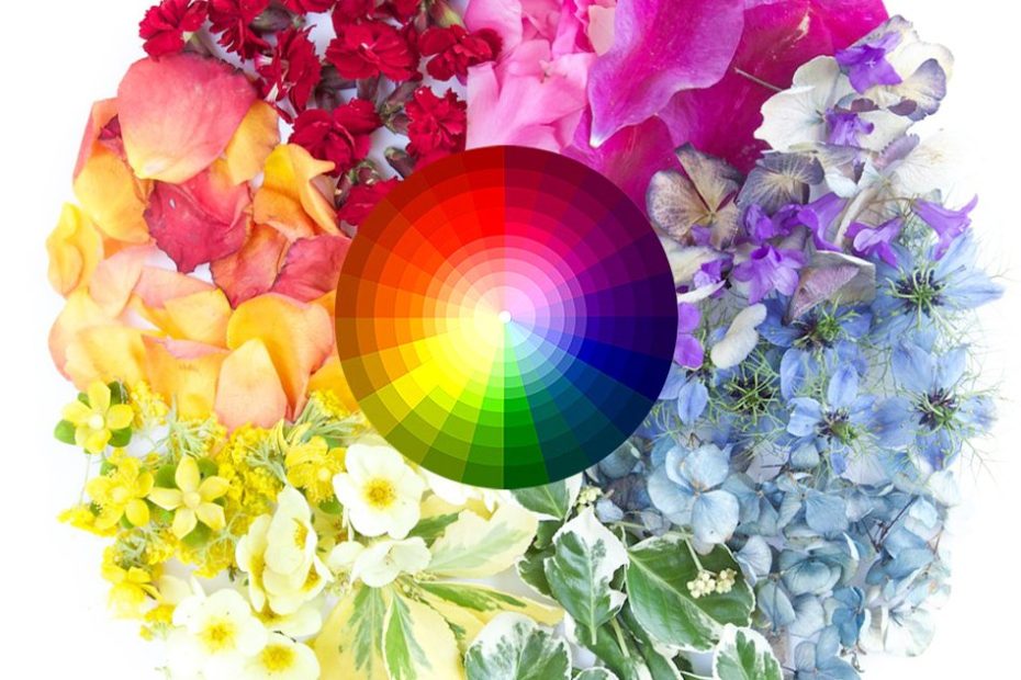 color theory image with flowers